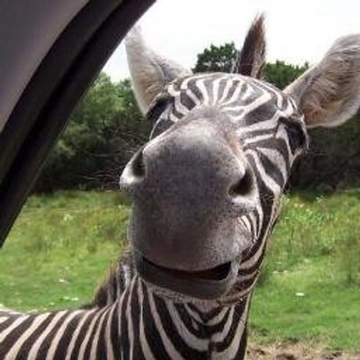 Profile Picture of Brad Funderburk (@BradFunderburk) on Twitter