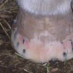 Profile Picture of Scott Hunter (@prairiefarrier) on Instagram