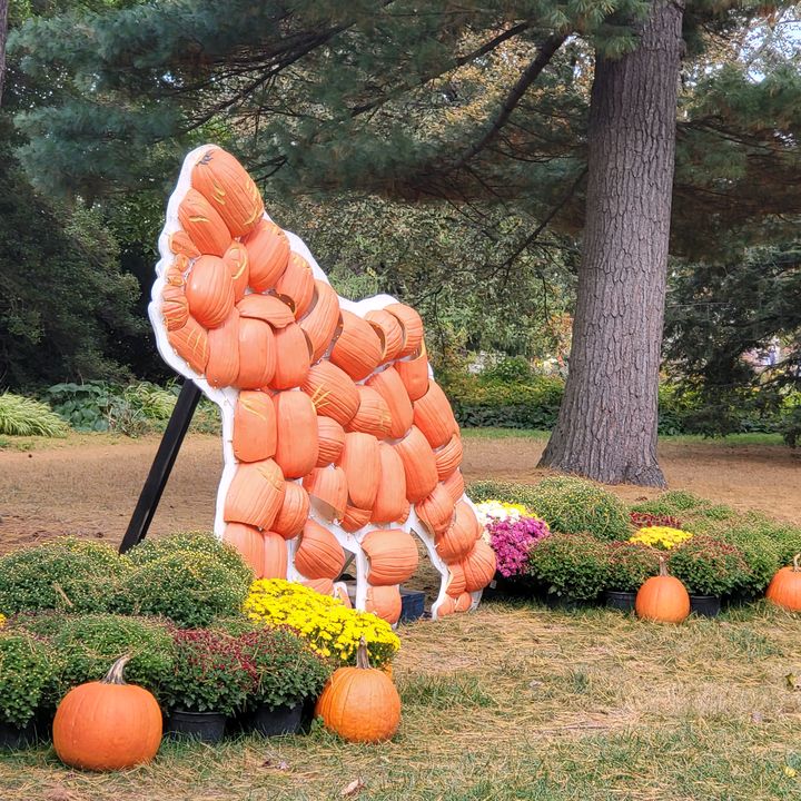 Profile Picture of andrew007 (@andrewjaychampion) on Tiktok