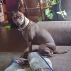 Profile Picture of Kathy Kiser (@kathy.kiser.770829) on Facebook