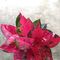 Profile Picture of Wendy Gimao (@Wendy-Gimao) on Facebook