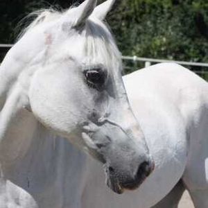 Profile Picture of Becky Travis (@becki2003) on Myspace