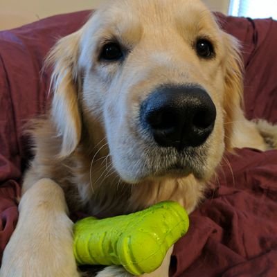 Profile Picture of Matt Greco (@dirtymoose) on Twitter