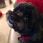 Profile Picture of Nancy Tice (@nancy.tice.16) on Instagram