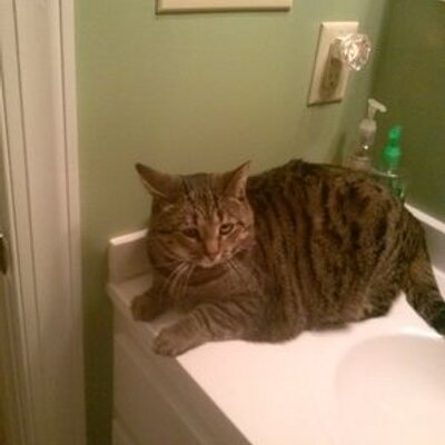 Profile Picture of Matthew Brocklebank (@mbrocklebank904) on Twitter