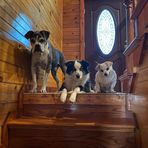 Profile Picture of Brandi Sipe Millsaps (@brandisipe.millsaps) on Facebook