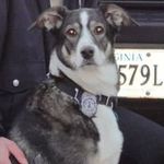 Profile Picture of Patrick Cole (@pee.cole) on Instagram