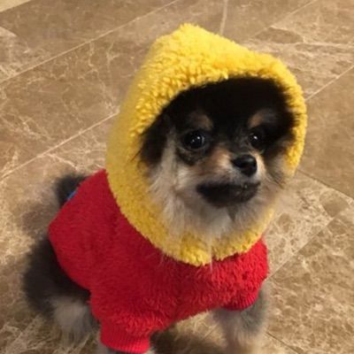 Profile Picture of JKierstead (@jkierstead) on Tiktok
