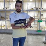 Profile Picture of Mohsen Ahmed (@birdsseller92) on Instagram