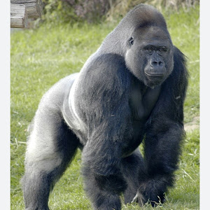 Profile Picture of Marc Jr. (@marcfarabaughjr) on Tiktok