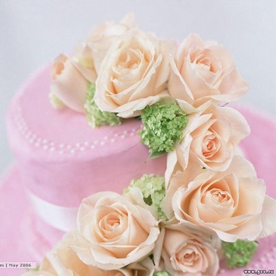 Profile Picture of Sheryl Wall (@Asdfq1Wall) on Twitter