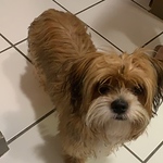 Profile Picture of Ian Y. Acosta (@ian y. acosta) on Flickr