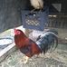 Profile Picture of Thomas Vann (@thomas.vann.336) on Facebook