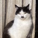 Profile Picture of Lucky John (@john.lucky.890502) on Facebook