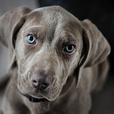 Tom Hinson - Twitter Profile Picture of Tom Hinson (@tomhinson) on Twitter