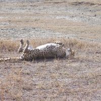 Profile Picture of Andrew Vanostrand (@andrew-vanostrand) on Quora