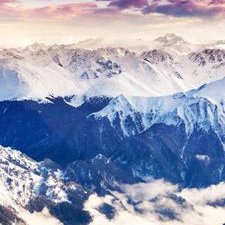 Profile Picture of Anibal Rodríguez Velez (@AnibalR94970063) on Twitter