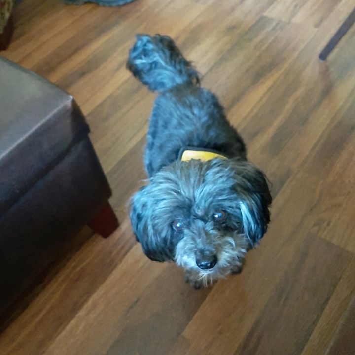 Profile Picture of phyllislundyrollins (@phyllgood65) on Tiktok