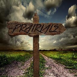Profile Picture of Prairials (@Prairials) on Twitter