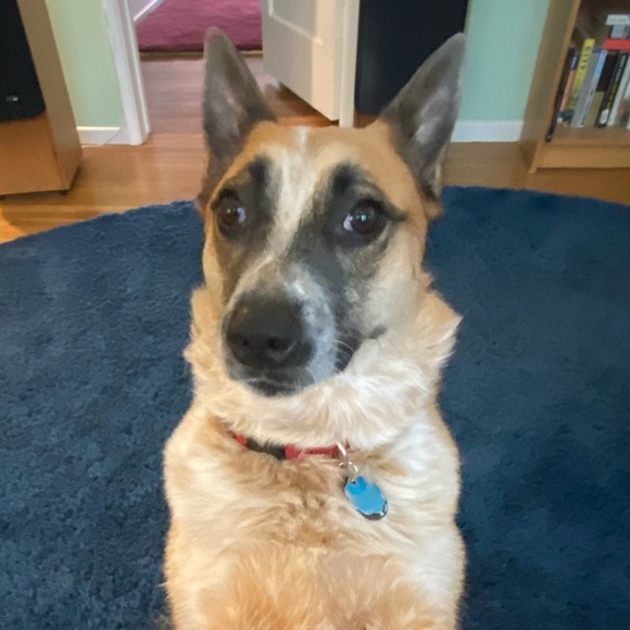 Profile Picture of Chloe Badner (@chloebadner) on Poshmark