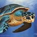 Profile Picture of Robin Pawlowski (@pawlowskipumpki) on Pinterest