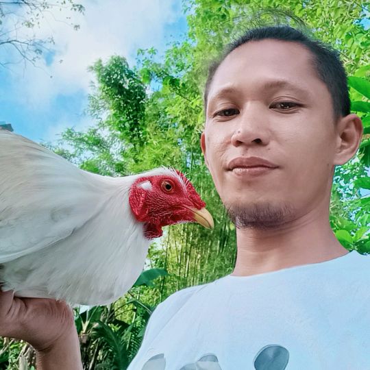 Profile Picture of albertmengullo_overland (@albertmengullo) on Tiktok