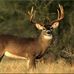 Profile Picture of Scott Renninger (@scott.renninger.71) on Facebook