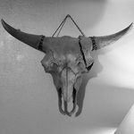 Profile Picture of Benjamin Gilkerson (@dakota_antlers) on Instagram