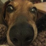 Profile Picture of Mitchell Austin (@tmitchellaustin) on Instagram