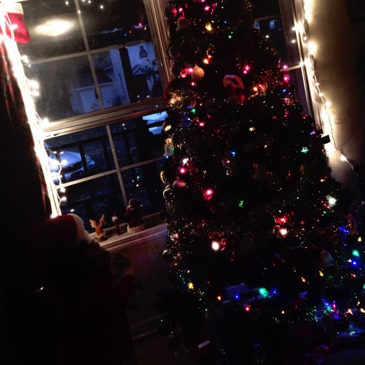 Profile Picture of Brody.Stegall1 (@brody.stegall1) on Tiktok