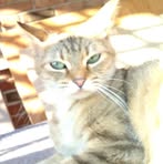 Profile Picture of David Gurganus (@david.gurganus.727) on Facebook