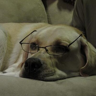 Profile Picture of Cody Mace (@dainty_flower) on Twitter