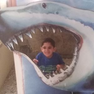 Profile Picture of Rafael Jaramillo Palacio (@RafaelJ88424093) on Twitter