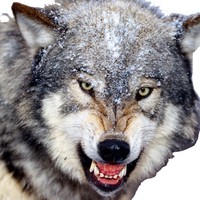 Profile Picture of Maurice Patton  (@maurice-patton-6) on Quora