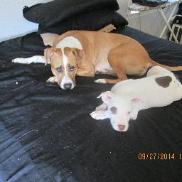 Profile Picture of Harold Lockett (@tamacialockett1) on Twitter