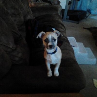 Golfnut71 - Twitter Profile Picture of Golfnut71 (@@MarkKula1) on Twitter