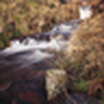 Michael Shepherd - Flickr Profile Picture of Michael Shepherd (@mike_s_89) on Flickr