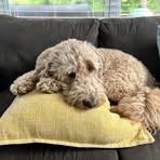 Profile Picture of Chase Bradburn (@Chase-Bradburn) on Facebook