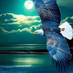 Profile Picture of Richard Ajnota (@richard.ajnota) on Facebook