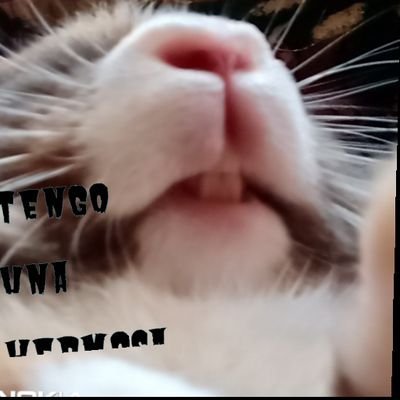 Profile Picture of Iris Granados Brenes (@IrisGranadosBr1) on Twitter