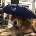 Profile Picture of Mark Custer (@mark_custer_65) on Instagram