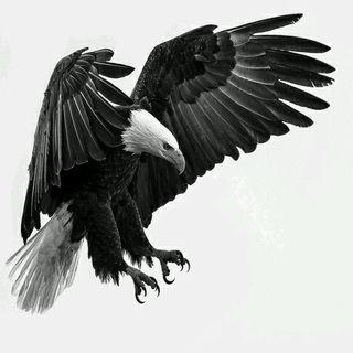 Profile Picture of Brian ORourke (@MilitaryBrian13) on Twitter