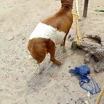 Profile Picture of Daniel Kimakoni (@kimakoni) on Instagram