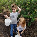 Profile Picture of Nathan Crandell (@ncrandell) on Instagram