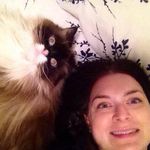 Profile Picture of Rachel Chernick (@chernickator) on Instagram
