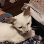 Profile Picture of Brian Ausman (@brian.ausman.35) on Facebook