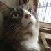 Profile Picture of Zachary StGelais (Teal) (@zachary.stgelais.77) on Facebook