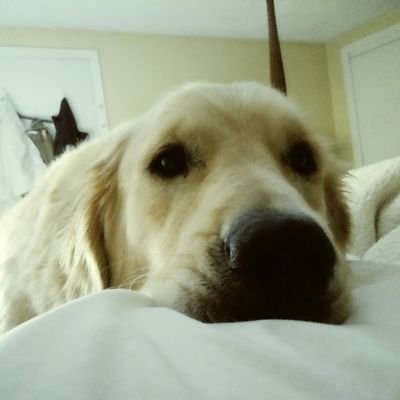 Profile Picture of Brian Seabury (@Brianseabury) on Twitter