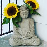 Profile Picture of Lisa Carstens (@lisamcars10s) on Instagram