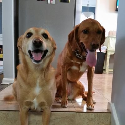 Ben Basore - Twitter Profile Picture of Ben Basore (@cliffbasore) on Twitter